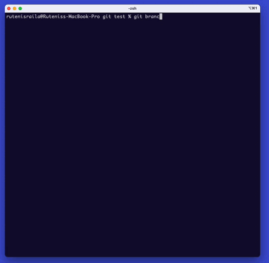 GitHub remote repository instructions