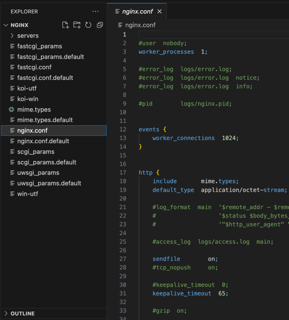 Nginx configuration folder in VS Code